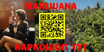 сатива Кулебаки
