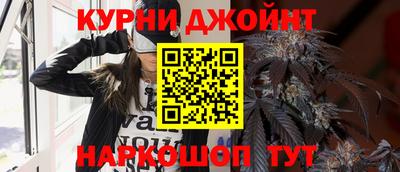 сатива Кулебаки