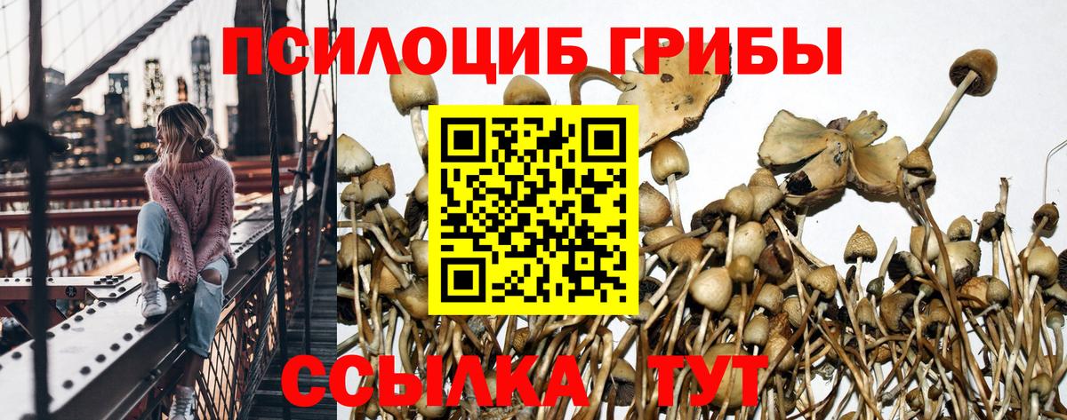 Псилоцибиновые грибы мухоморы Ирбит